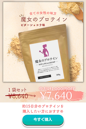 魔女のプロテイン(ビターショコラ)500g 魔女のプロテイン 魔女のプロテイン(ビターショコラ)500g 魔女のプロテイン